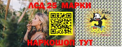 спиды Новозыбков