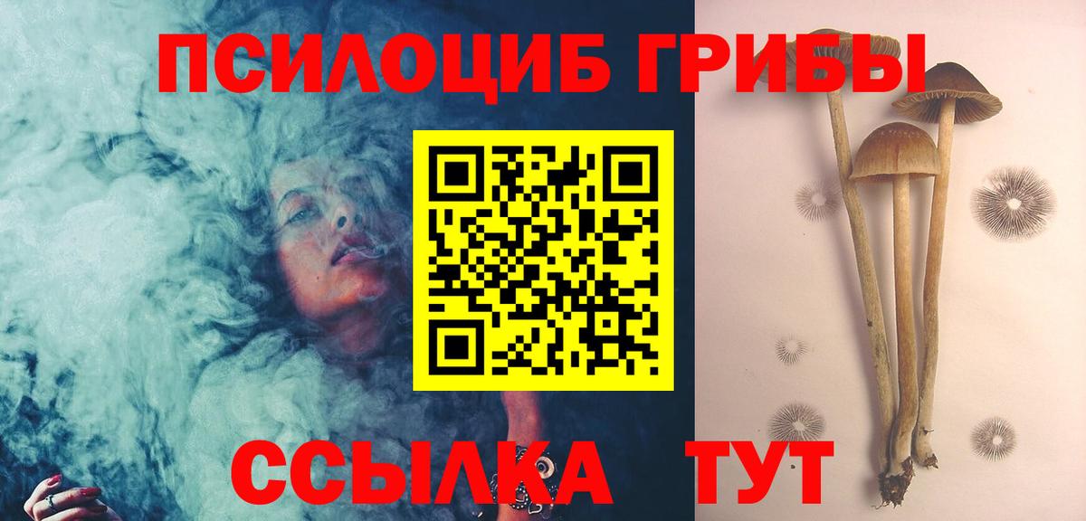 Псилоцибиновые грибы мухоморы Советский