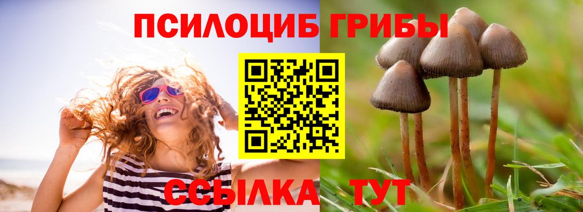 Советский  Псилоцибиновые грибы Cubensis  Вход с VPN 
